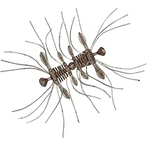 ⭐️ ぷぷみです Amazon.co.jp: ダイワ(DAIWA) バスワーム STEEZクアッドフォーゼ